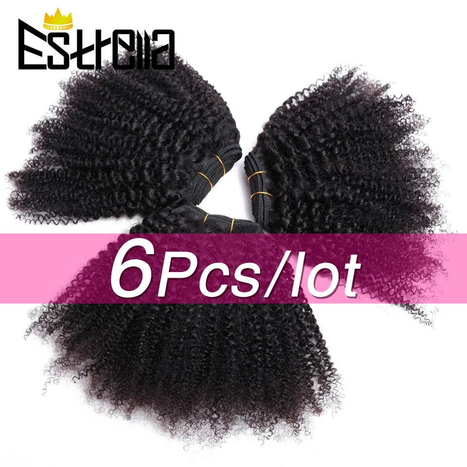 Afro Kinky Curly Human Hair Bundles 6Pcs Remy Deal