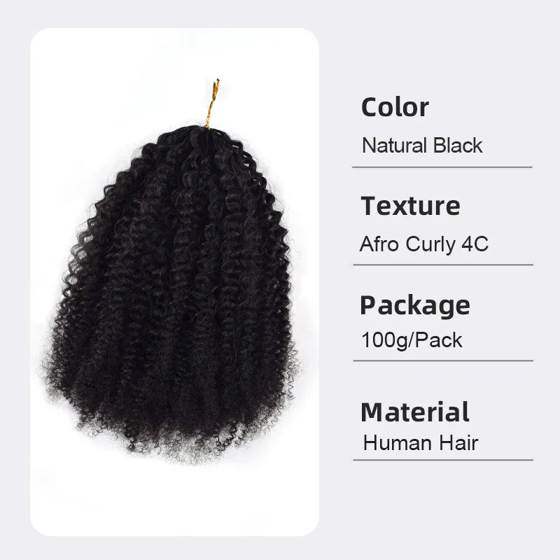 Afro Kinky Curly 4C Bulk Human Hair Extensions