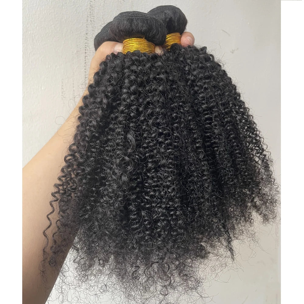 Brazilian Afro Kinky Curly Human Hair Bundles