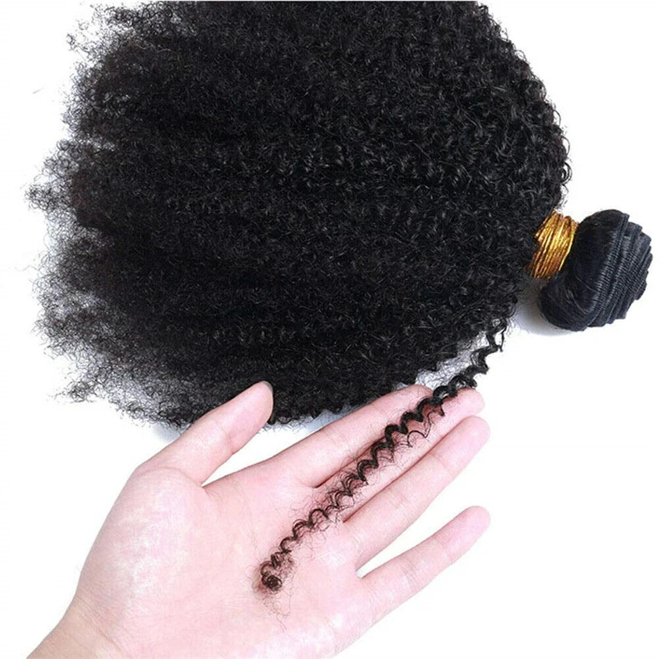 Brazilian Afro Kinky Curly Human Hair Bundles