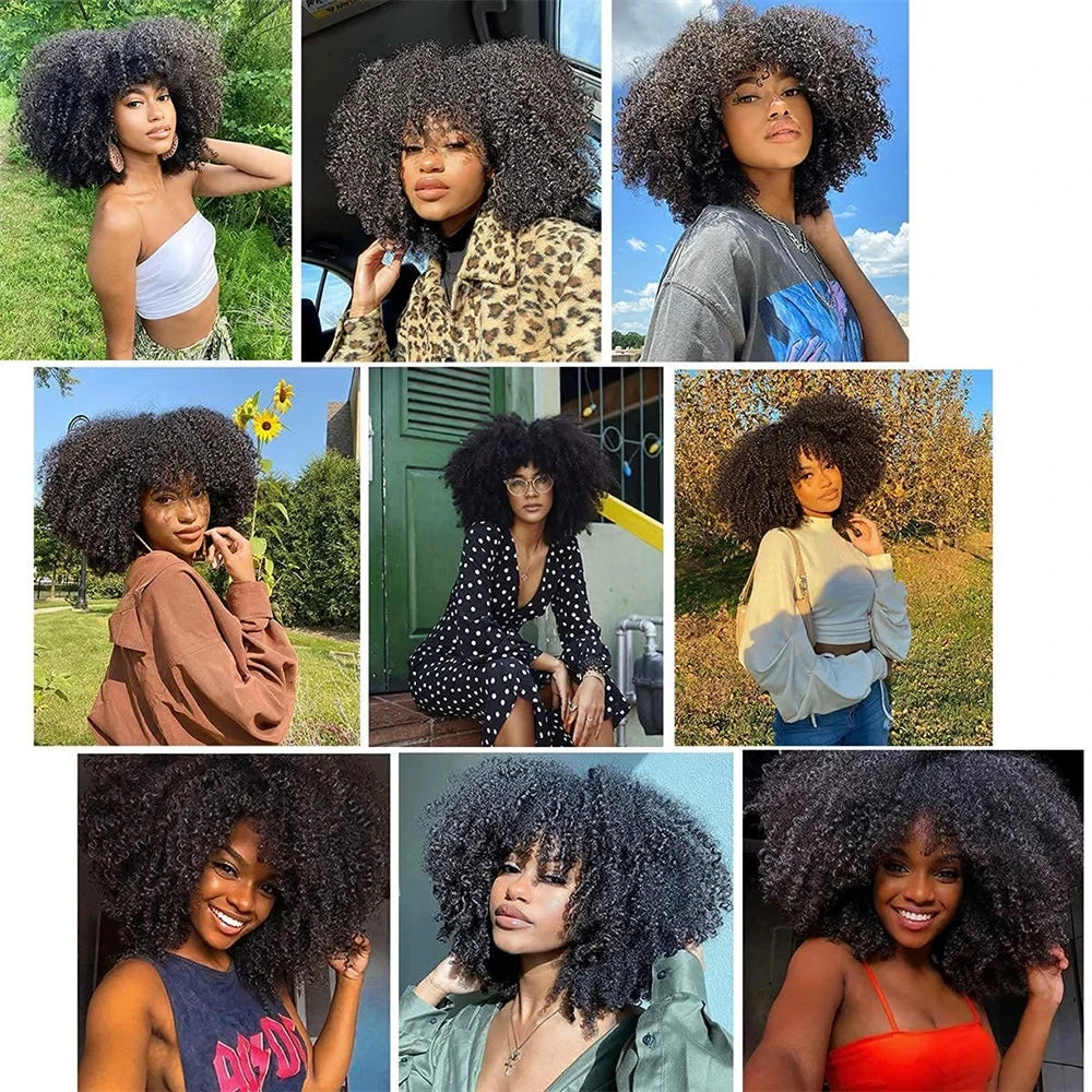 Brazilian Afro Kinky Curly Human Hair Bundles