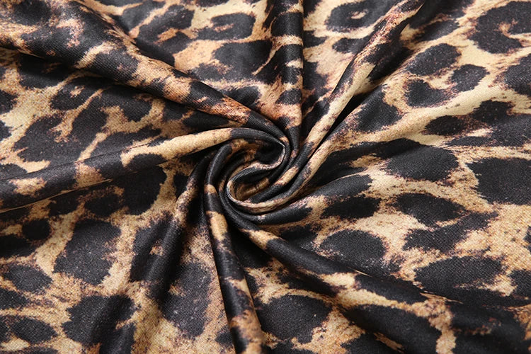 Y2K Leopard Print Deep V Split Dress
