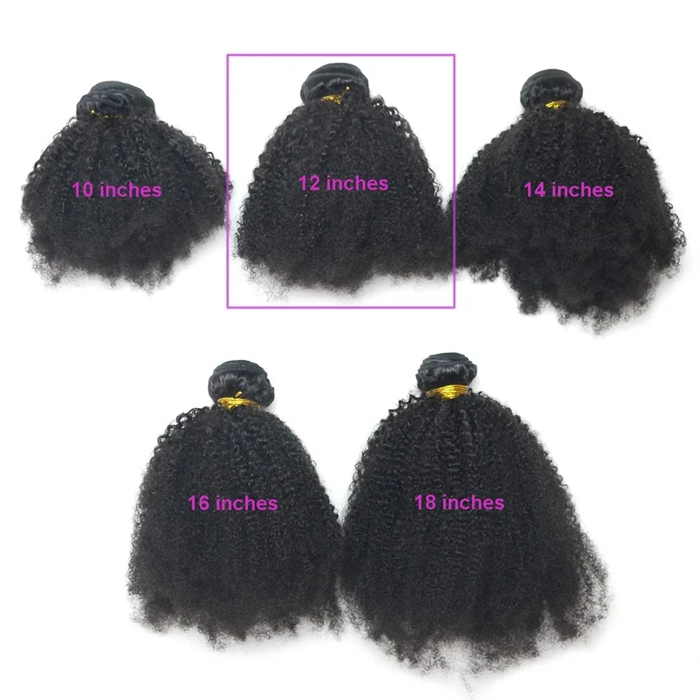 Brazilian Afro Kinky Curly Human Hair Bundles