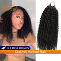 Knotless Kinky Curly Human Hair Crochet Extensions