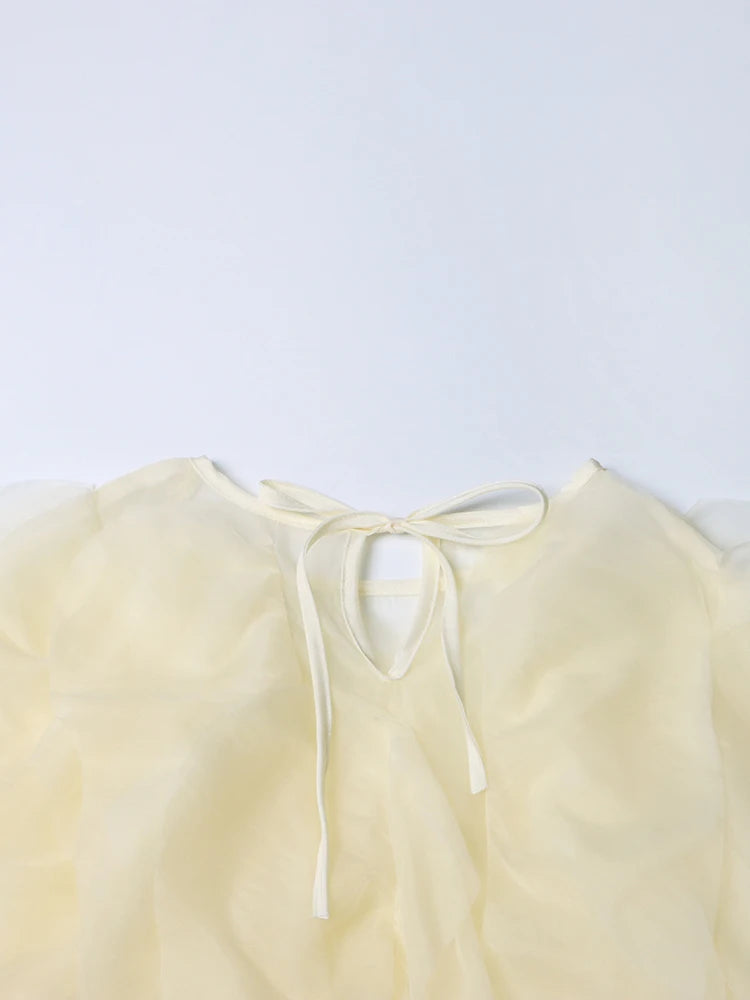 TWOTWINSTYLE Ruffle Chiffon Lantern Sleeve Blouse