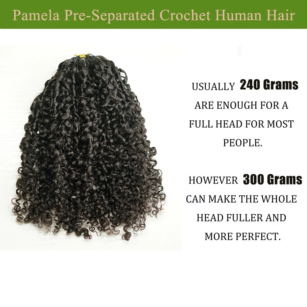 fro Kinky Burmese Curly Knotless Human Hair Extensions